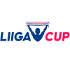Veikkausliiga Cup
